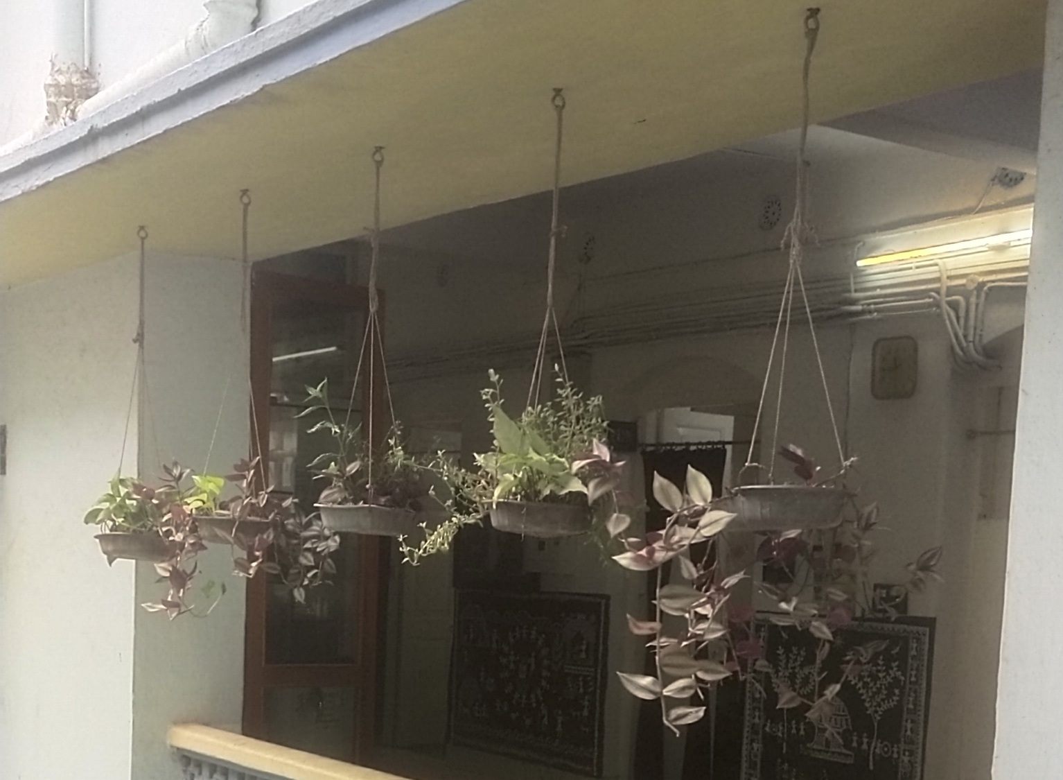 Hanging Garden