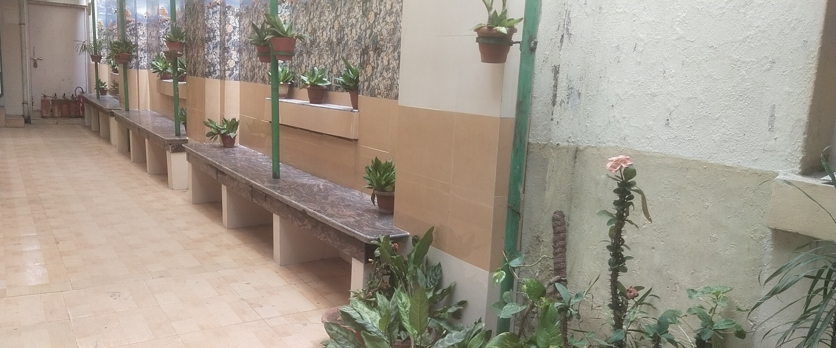 Green Corridor